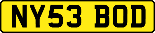 NY53BOD