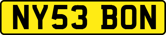 NY53BON