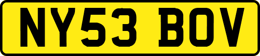 NY53BOV