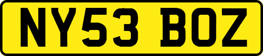 NY53BOZ