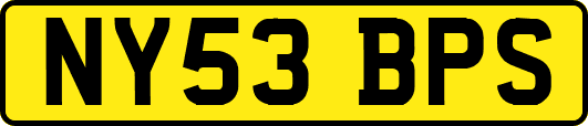 NY53BPS