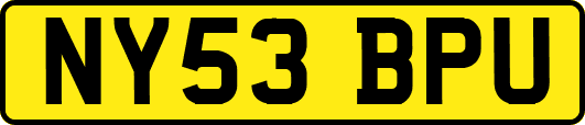 NY53BPU