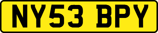 NY53BPY