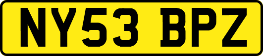 NY53BPZ