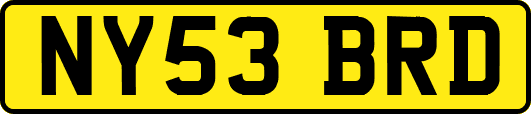 NY53BRD