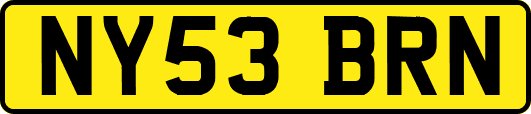 NY53BRN