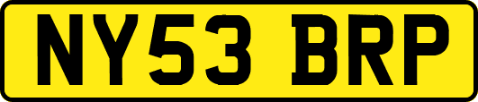 NY53BRP