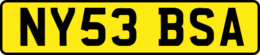 NY53BSA