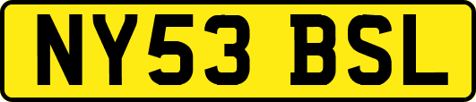 NY53BSL