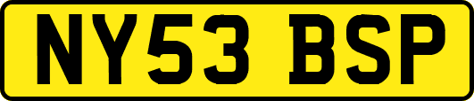 NY53BSP