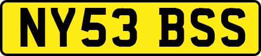 NY53BSS