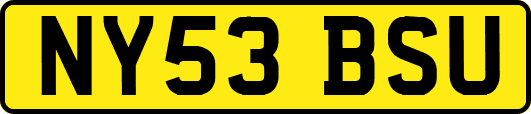 NY53BSU