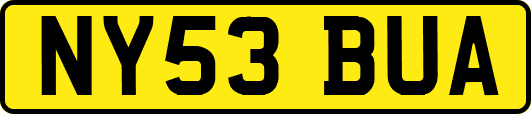 NY53BUA