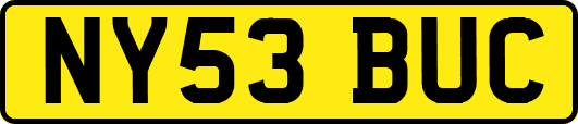 NY53BUC