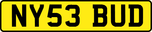 NY53BUD