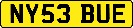 NY53BUE