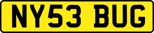 NY53BUG