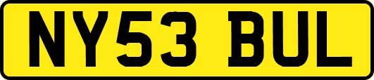 NY53BUL