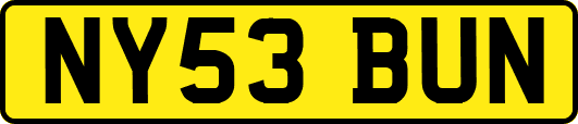 NY53BUN