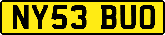 NY53BUO