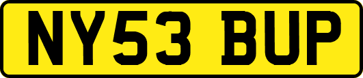 NY53BUP
