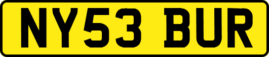 NY53BUR