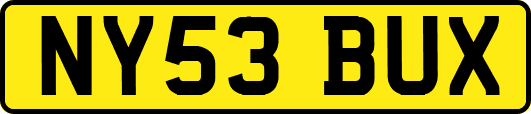 NY53BUX