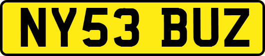 NY53BUZ