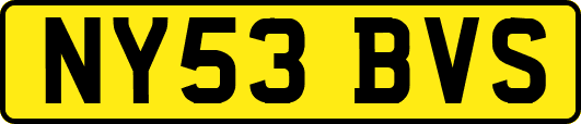 NY53BVS
