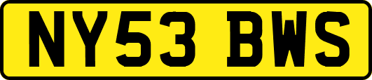 NY53BWS