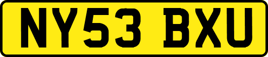NY53BXU