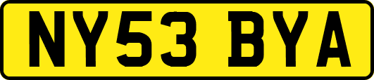 NY53BYA