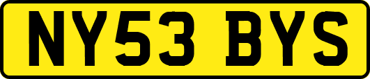 NY53BYS