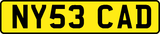 NY53CAD