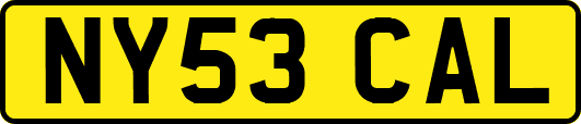 NY53CAL