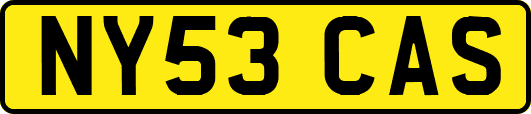 NY53CAS