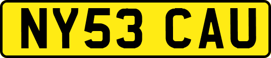 NY53CAU
