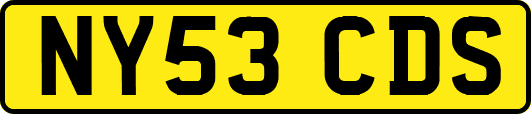 NY53CDS