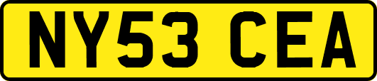 NY53CEA