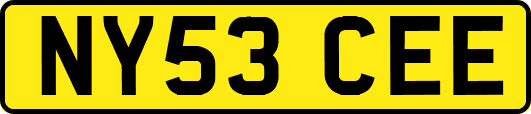 NY53CEE