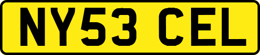 NY53CEL