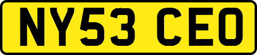 NY53CEO