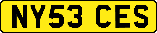 NY53CES