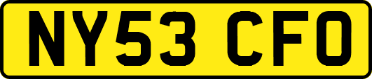 NY53CFO