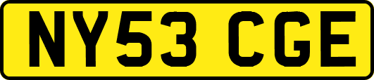 NY53CGE