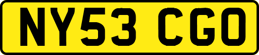 NY53CGO