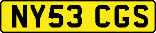 NY53CGS