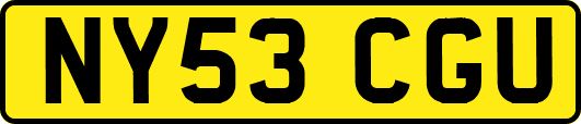 NY53CGU