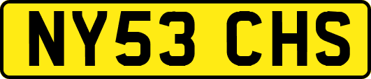 NY53CHS