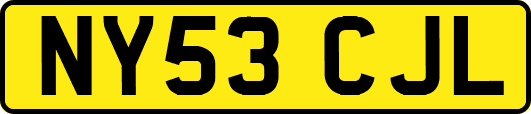 NY53CJL